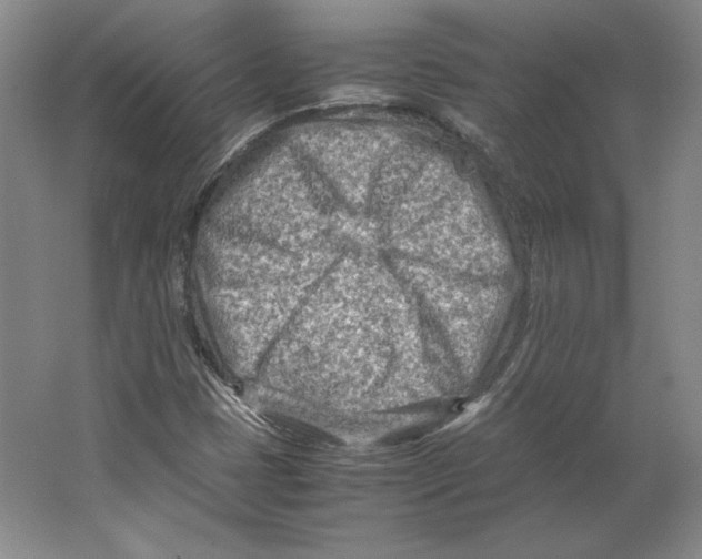 X0000062131401200512301449