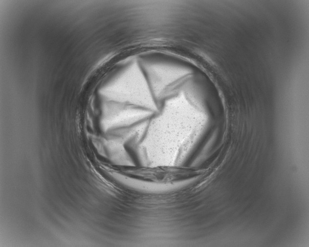 X0000062131402200512301449