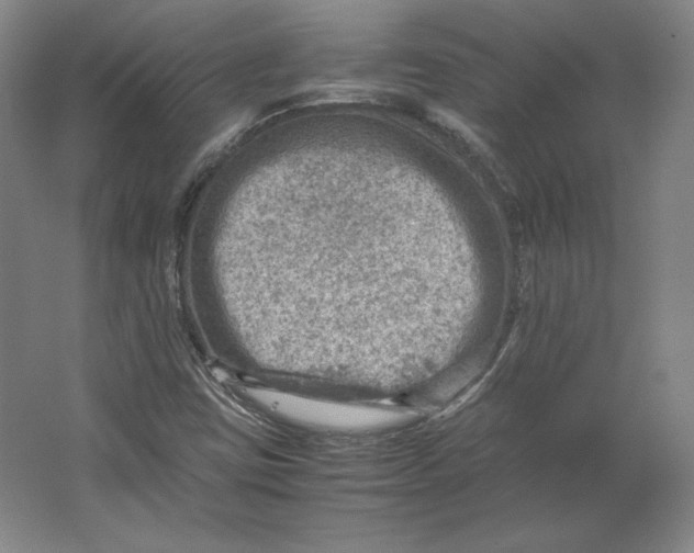 X0000062131403200512301449