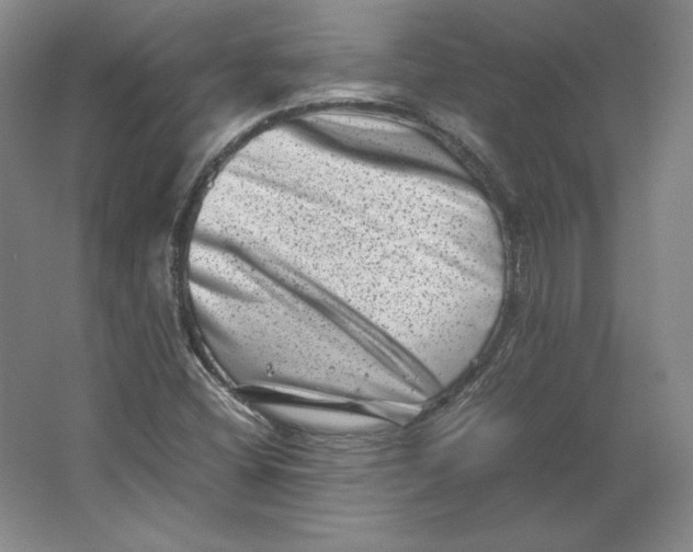 X0000062131404200512301449