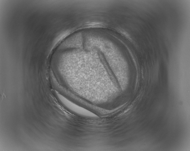 X0000062131405200512301449