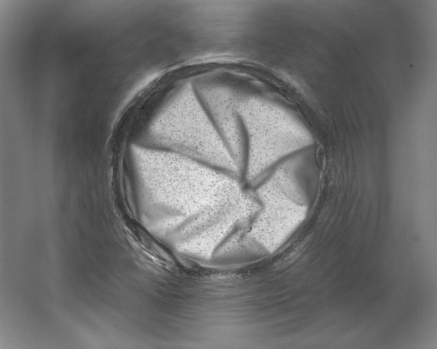 X0000062131406200512301449