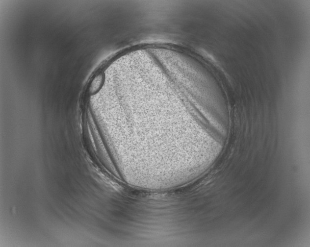 X0000062131408200512301449