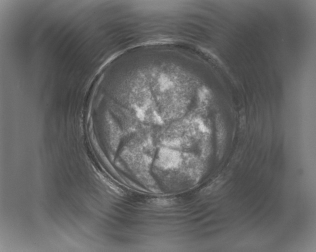 X0000062131409200512301449