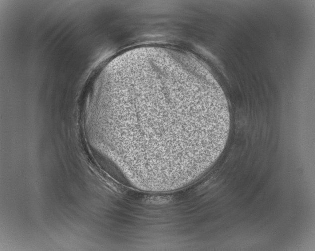 X0000062131411200512301449