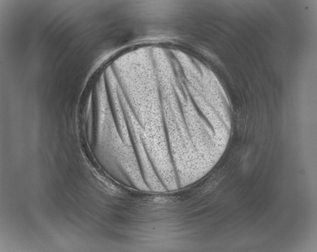 X0000062131412200512301449