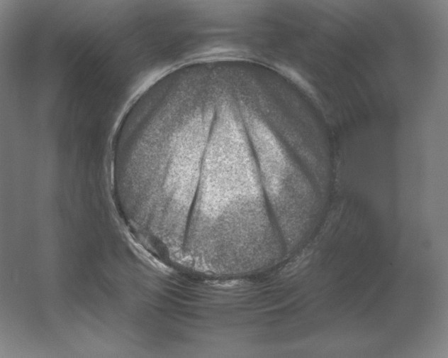 X0000062131413200512301449