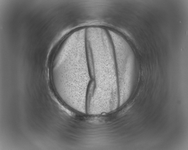 X0000062131414200512301449