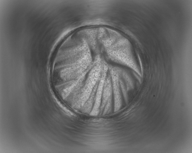 X0000062131416200512301449