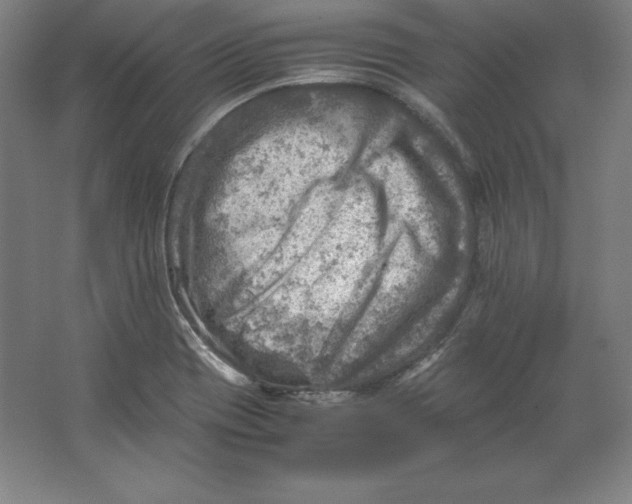 X0000062131417200512301449