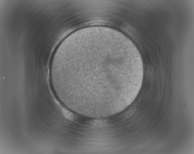 X0000062131418200512301449