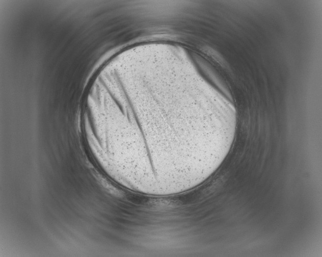 X0000062131420200512301449