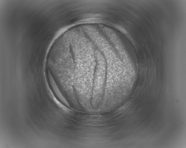 X0000062131421200512301449