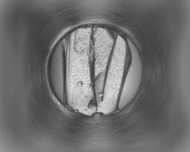 X0000062131422200512301450