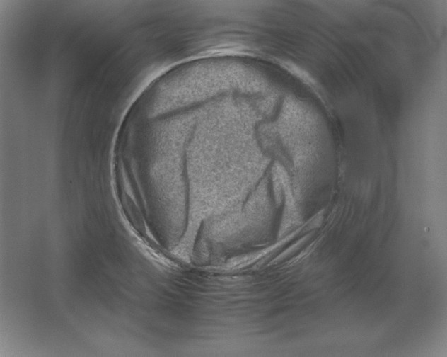 X0000062131423200512301450