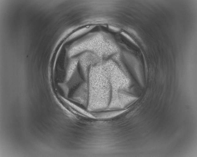 X0000062131424200512301450