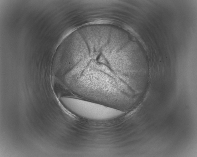 X0000062131425200512301450