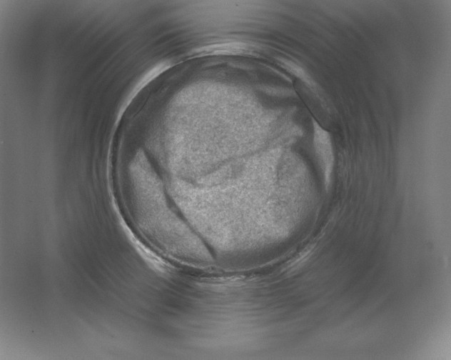 X0000062131426200512301450