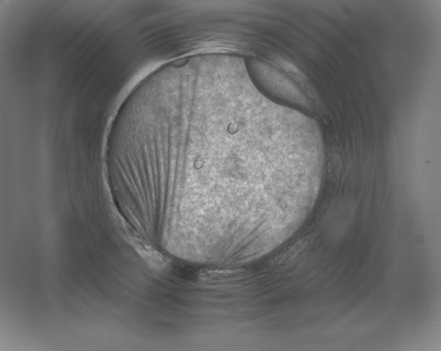 X0000062131427200512301450