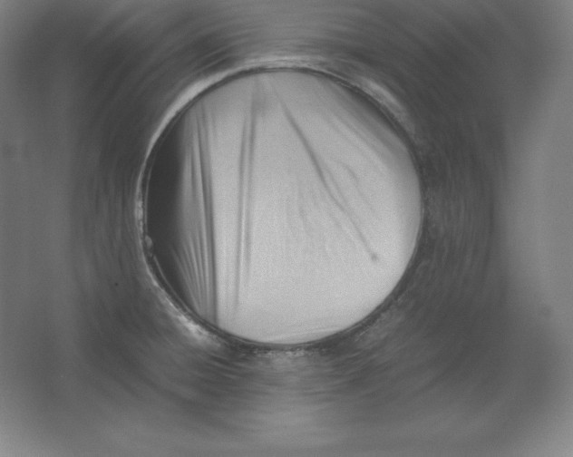 X0000062131428200512301450