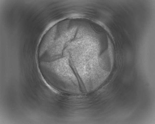 X0000062131429200512301450