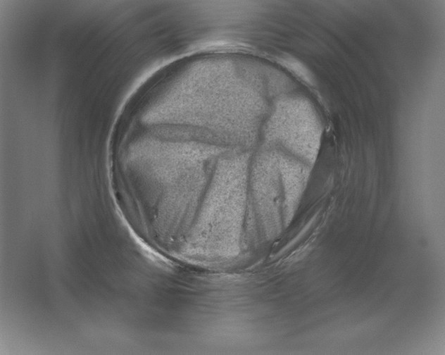 X0000062131430200512301450