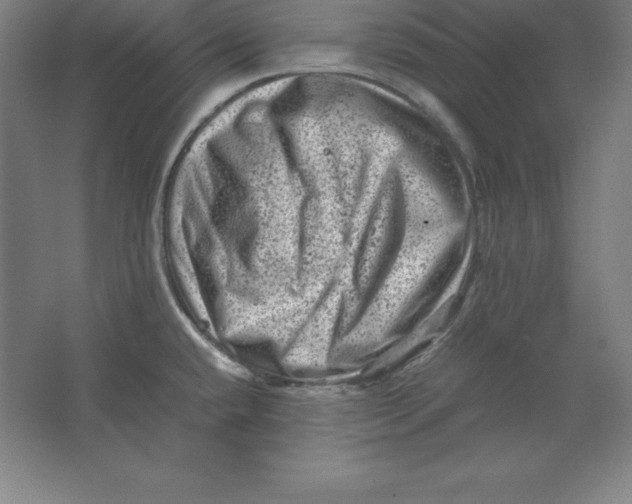 X0000062131432200512301450