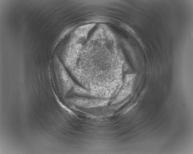 X0000062131433200512301450