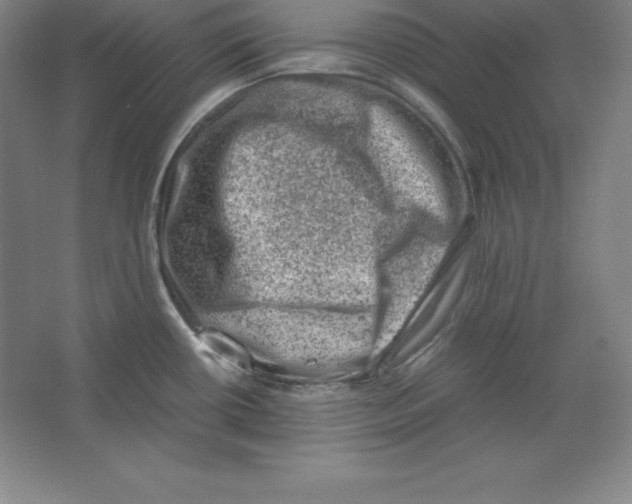 X0000062131434200512301450