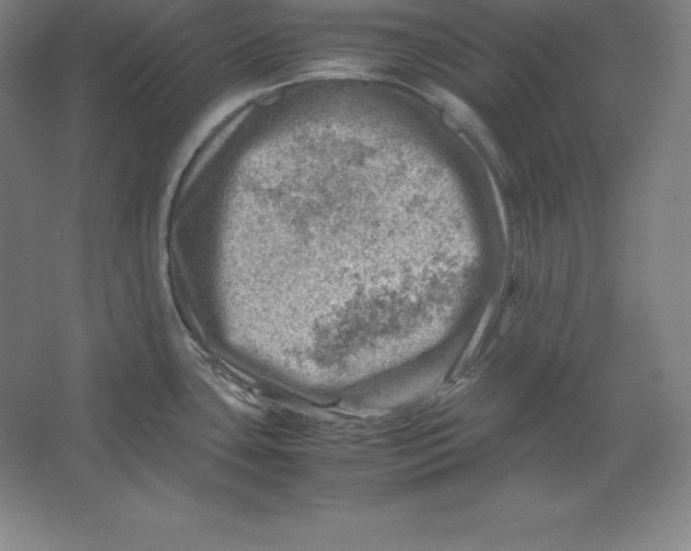 X0000062131435200512301450