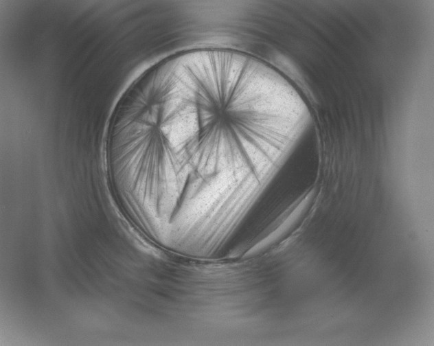 X0000062131436200512301450