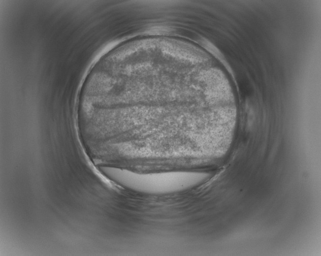 X0000062131437200512301450