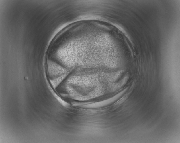 X0000062131438200512301450