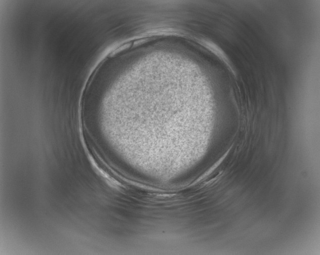 X0000062131439200512301450