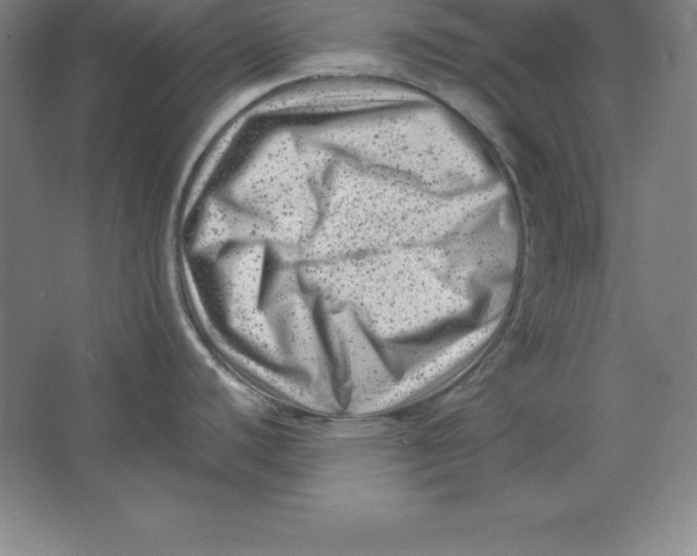 X0000062131440200512301450