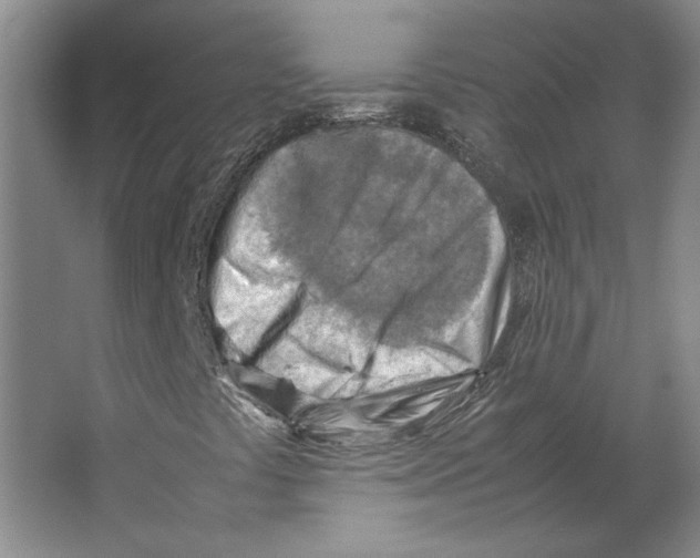 X0000062131441200512301449