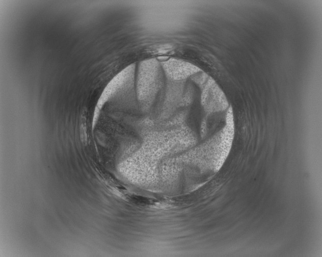 X0000062131442200512301449