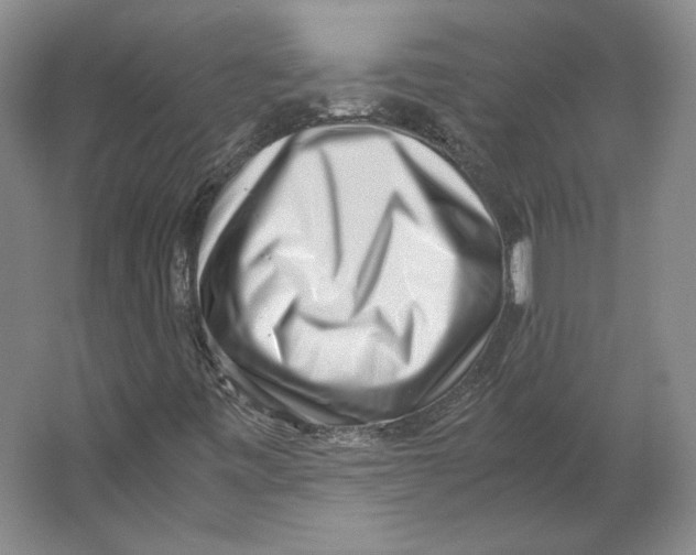 X0000062131443200512301449