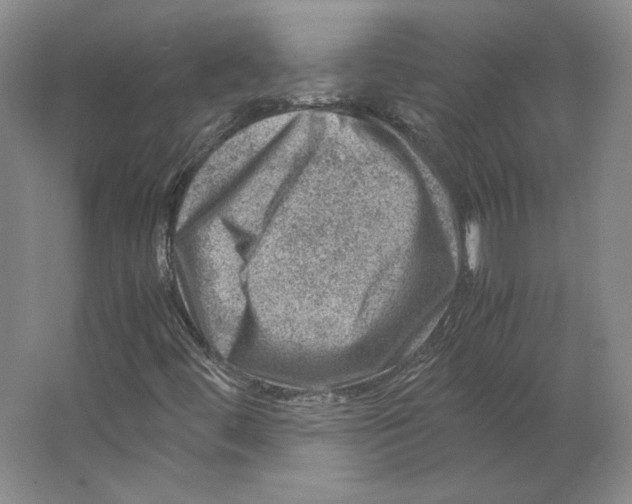 X0000062131444200512301449