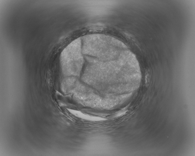 X0000062131445200512301449