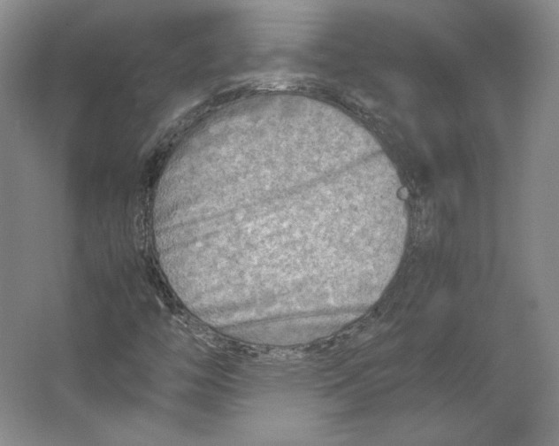 X0000062131446200512301449