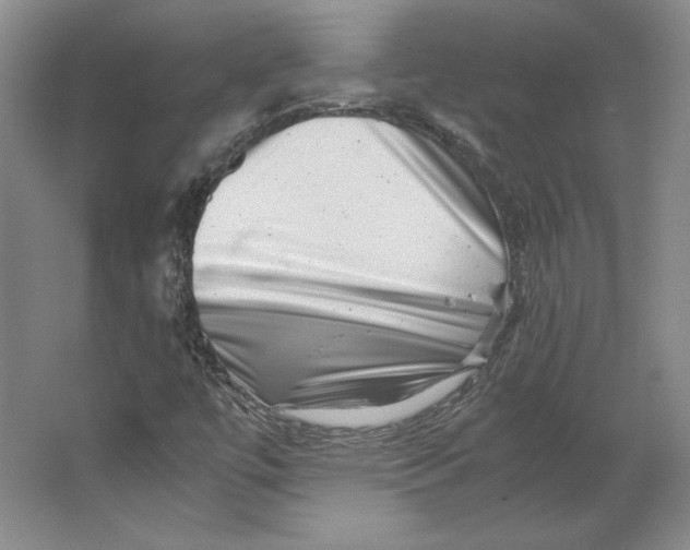 X0000062131447200512301449