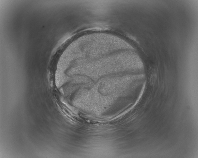 X0000062131448200512301449