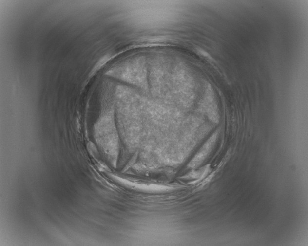 X0000062131449200512301449