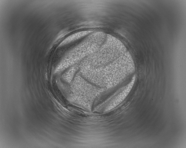 X0000062131451200512301449