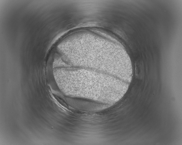 X0000062131452200512301449