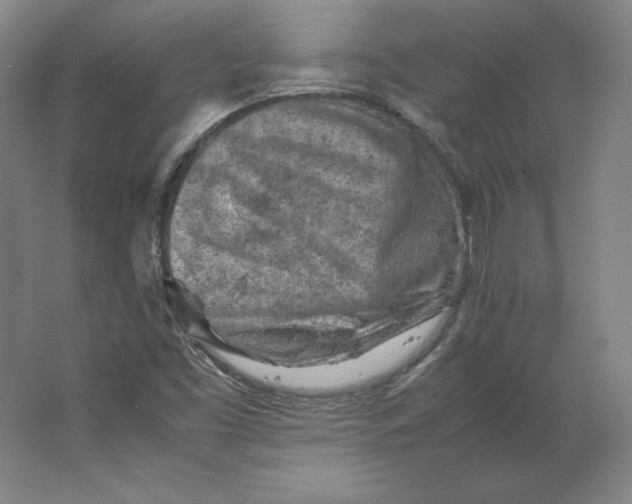 X0000062131453200512301449