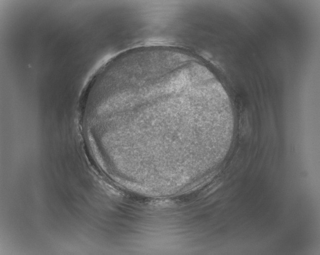 X0000062131454200512301449