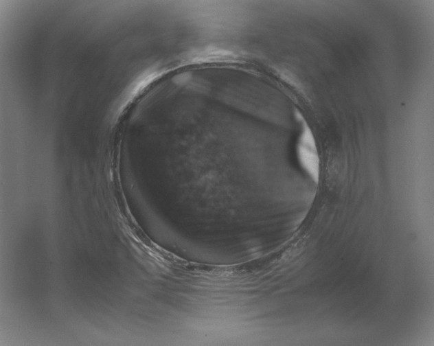 X0000062131455200512301449