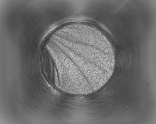 X0000062131456200512301449